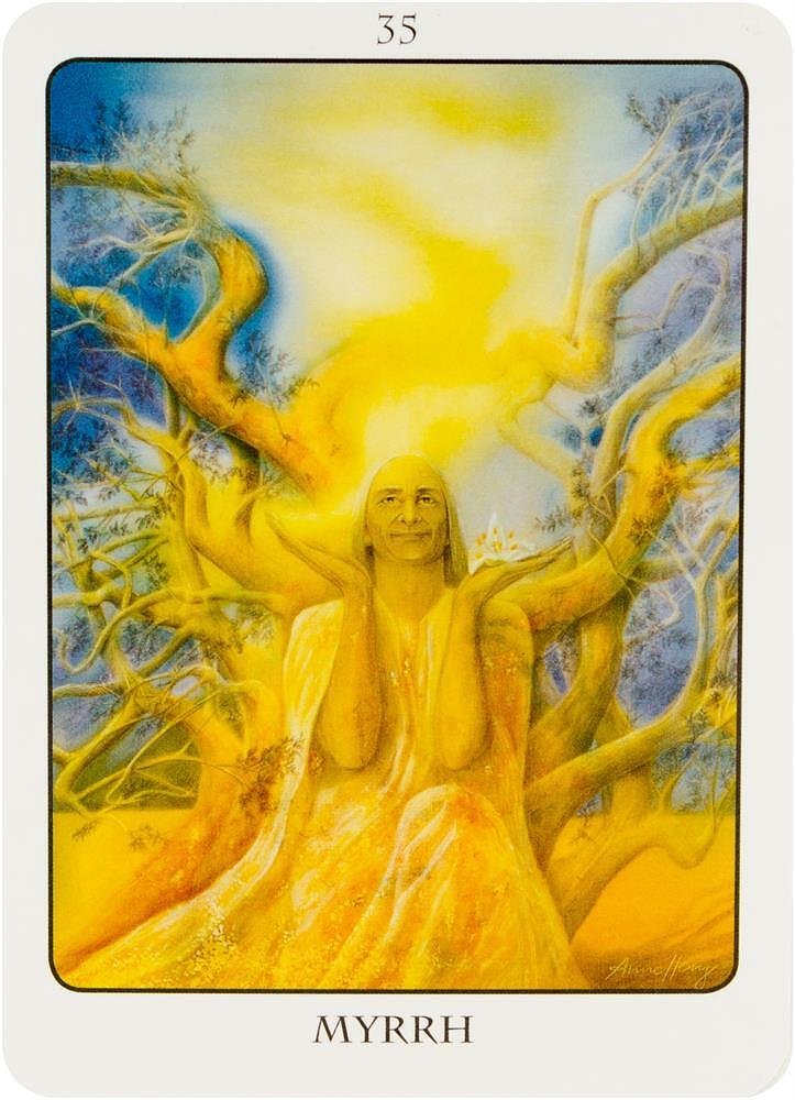 Tree Angel Oracle - Fred Hageneder, Anne Heng