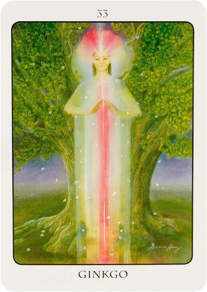 Tree Angel Oracle - Fred Hageneder, Anne Heng