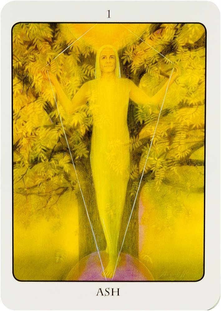 Tree Angel Oracle - Fred Hageneder, Anne Heng