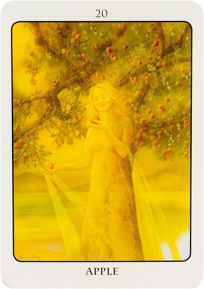 Tree Angel Oracle - Fred Hageneder, Anne Heng